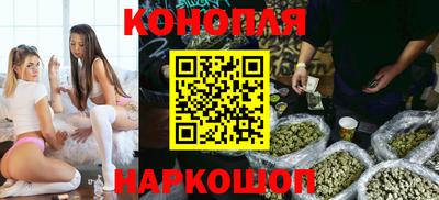 прущие грибы Краснознаменск