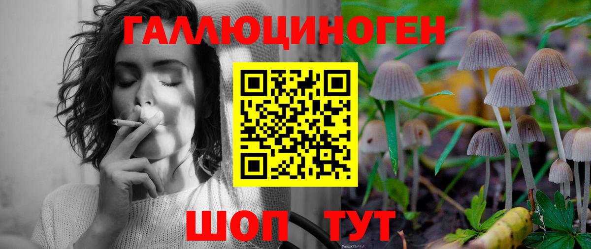 Галлюциногенные грибы Psilocybe  Вход с VPN  Клинцы 