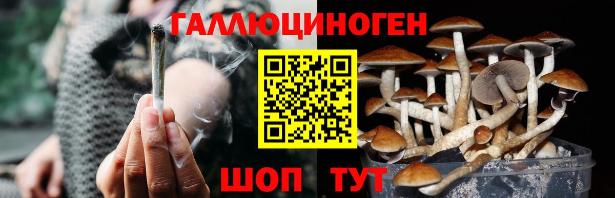 Псилоцибиновые грибы прущие грибы Клинцы
